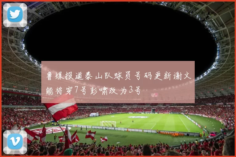 鲁媒报道泰山队球员号码更新谢文能将穿7号彭啸改为3号
